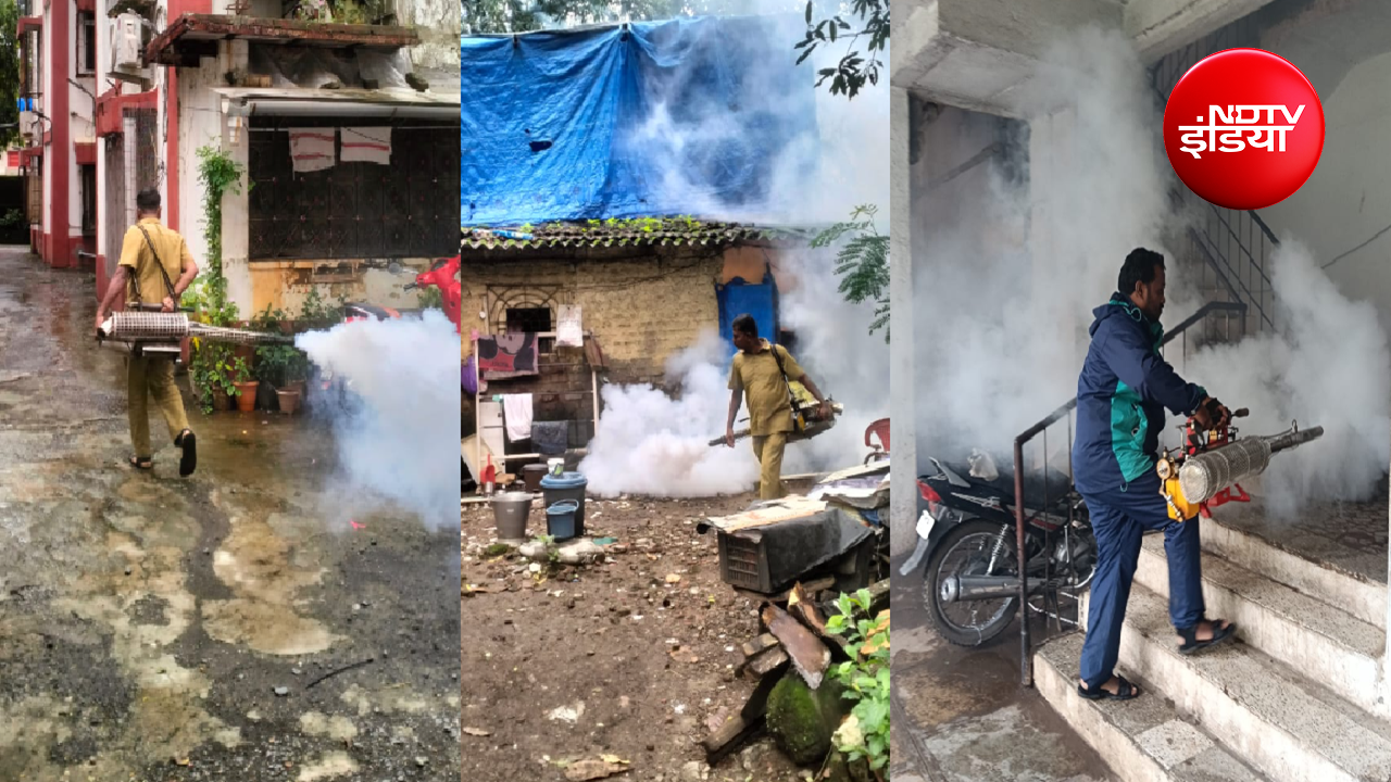 मुंबई में मानसूनी बीमारियों का प्रकोप बढ़ा, मलेरिया-डेंगू के मामलों में बड़ा उछाल; BMC का अलर्ट जारी