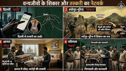 दिल्ली से ऑर्डर, श्योपुर-मुरैना में शिकार, आगरा में सौदा, कूनो-माधव कॉरिडोर में तेंदुओं-बाघिन के शिकार का सच