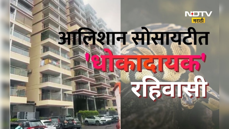 Shocking news: नको ती हौस! घरात पाळला होता अजस्त्र प्राणी, सोसायटीतील लोकांचा जीव होता धोक्यात, पण एका टीपने..