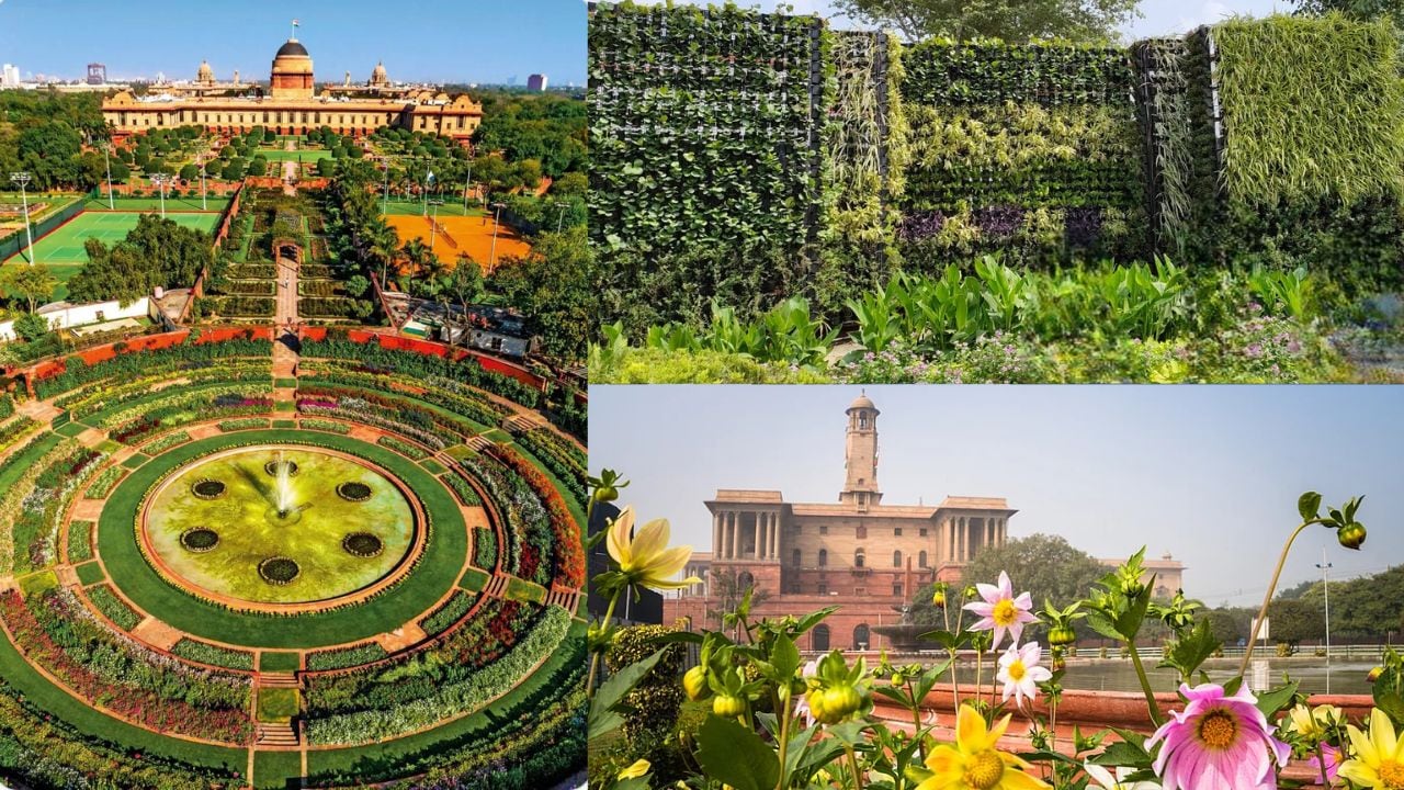 आम लोगों के लिए खुला राष्ट्रपति भवन का अमृत उद्यान, बैबलिंग ब्रुक, फ्लोरल ब्लॉक के अलावा ये हैं मुख्य आकर्षण