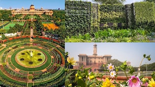 आम लोगों के लिए खुला राष्ट्रपति भवन का अमृत उद्यान, बैबलिंग ब्रुक, फ्लोरल ब्लॉक के अलावा ये हैं मुख्य आकर्षण