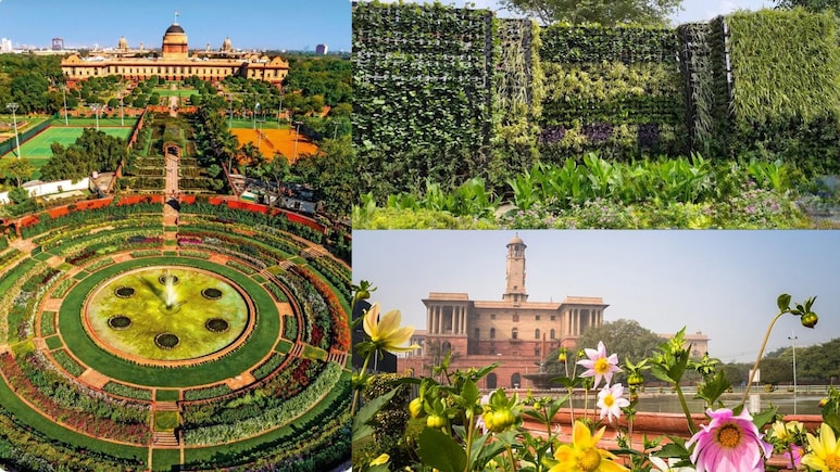 आम लोगों के लिए खुला राष्ट्रपति भवन का अमृत उद्यान, बैबलिंग ब्रुक, फ्लोरल ब्लॉक के अलावा ये हैं मुख्य आकर्षण