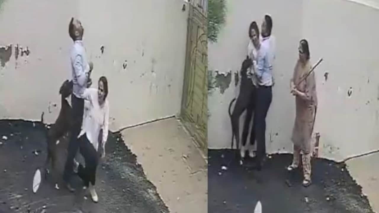 Pit Bull Rampage In Patiala: Couple Brutally Attacked, Locals Battle Dog To Rescue Them | Watch Video