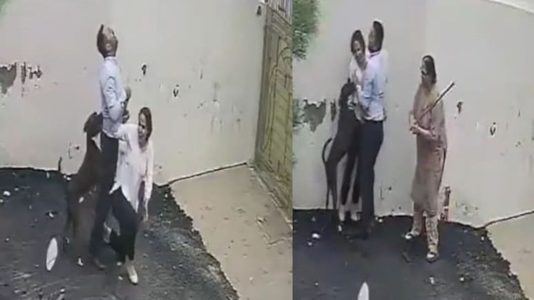Pit Bull Rampage In Patiala: Couple Brutally Attacked, Locals Battle Dog To Rescue Them | Watch Video