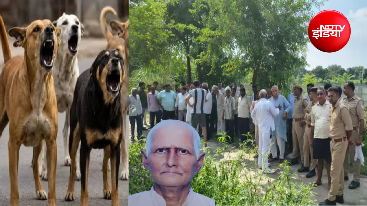 मेरठ में आवारा कुत्तों ने नोच-नोचकर मार डाला; सुबह खेत के लिए निकले... अब कभी नहीं लौटेंगे, किसान का मिला शव