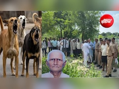मेरठ में आवारा कुत्तों ने नोच-नोचकर मार डाला; सुबह खेत के लिए निकले... अब कभी नहीं लौटेंगे, किसान का मिला शव