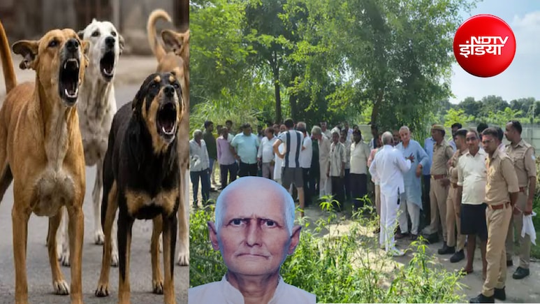 मेरठ में आवारा कुत्तों ने नोच-नोचकर मार डाला; सुबह खेत के लिए निकले... अब कभी नहीं लौटेंगे, किसान का मिला शव