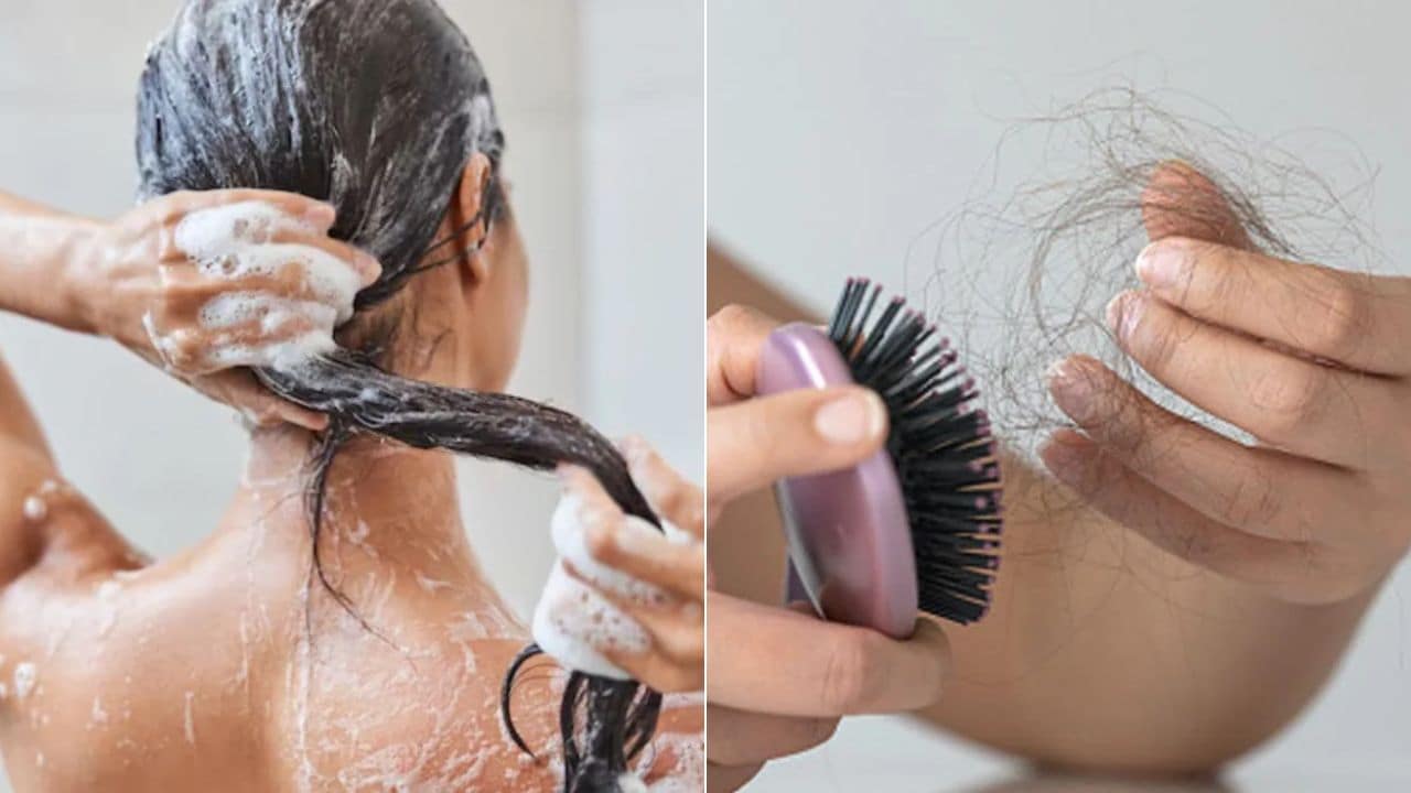30 सेकंड में पता चल जाएगा बालों का झड़ना नॉर्मल है या नहीं? Hair Fall हो रहा है तो आज ही करें टेस्ट
