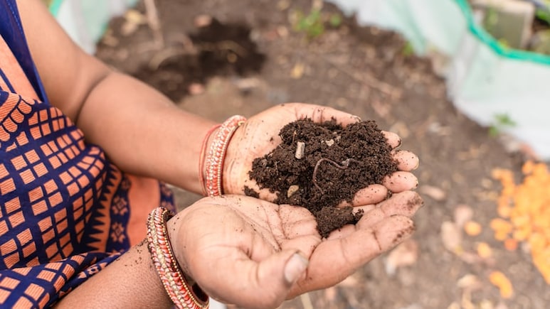 Cost Of Cheap Urea: India's Fertiliser Strategy Under Strain As Subsidy Burden Mounts