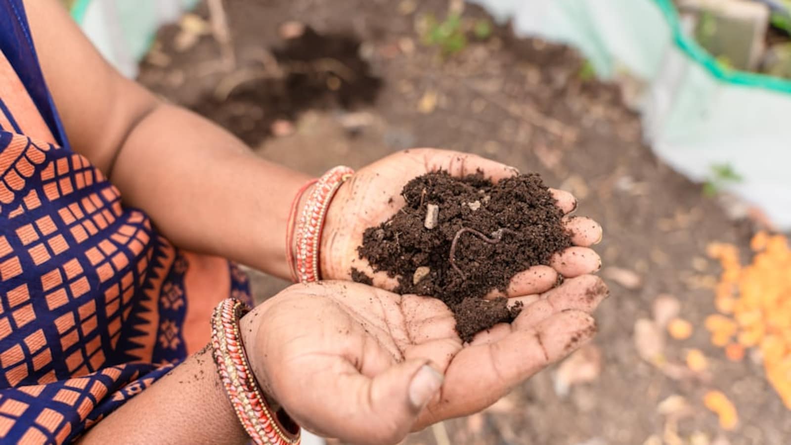 Cost Of Cheap Urea: India's Fertiliser Strategy Under Strain As Subsidy Burden Mounts