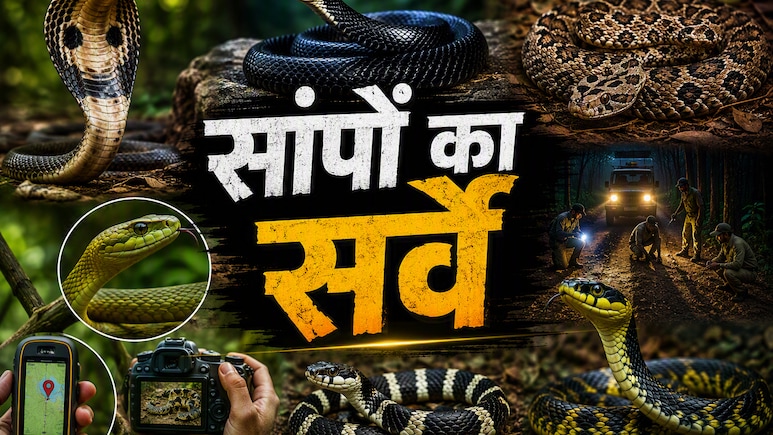 कहां मिलते हैं कोबरा-करैत, किन जिलों में है सबसे बड़ा खतरा ? MP में शुरू हुआ बड़ा स्नेक सर्वे