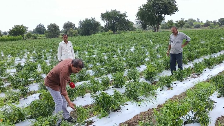 किसानों के लिए बहुत ही अहम हैं ये 3 सरकारी योजनाएं; जानें सालाना 6,000 से 5 लाख रुपये तक पाने की पूरी जानकारी