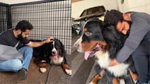 Jr NTR Pays Emotional Tribute To Pet Dog Bagheera