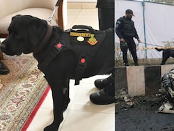 Anti-Terror Agency's Dog Gets Army Award For Red Fort Blast Heroics