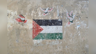 'Dangerous Escalation': UAE, Saudi Arabia, Six Others Warn Israel's 'E1' Plan Threatens Two-State Solution