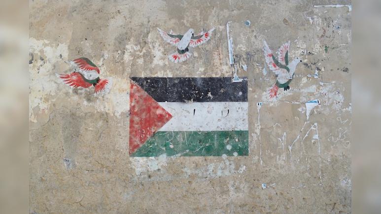 'Dangerous Escalation': UAE, Saudi Arabia, Six Others Warn Israel's 'E1' Plan Threatens Two-State Solution