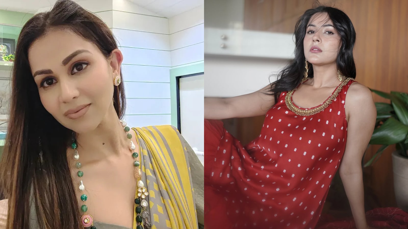 ‘She Has A Low IQ’: Actor Aanchal Khurana Calls Shehnaaz Gill ‘Self-Obsessed’