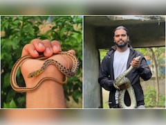 बहन की जान बचाने के लिए पकड़ा था पहला सांप, आज 10000 रेस्क्यू कर नेपाल का 'स्नेकमैन' बन गया ये शख्स