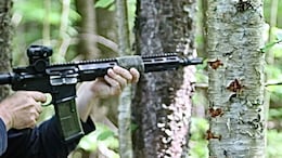 Karnataka Shootout: Forest Dept Submits Evidence, Minister Reveals Details in Assembly