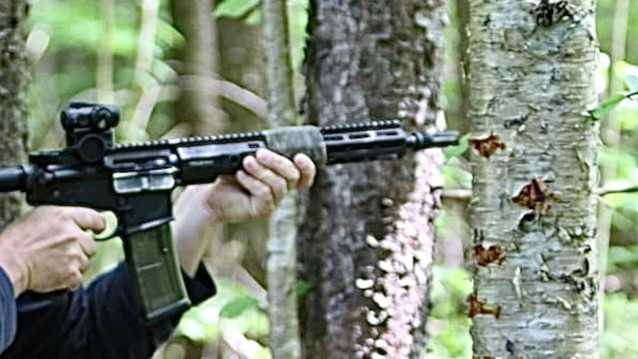 Karnataka Shootout: Forest Dept Submits Evidence, Minister Reveals Details in Assembly