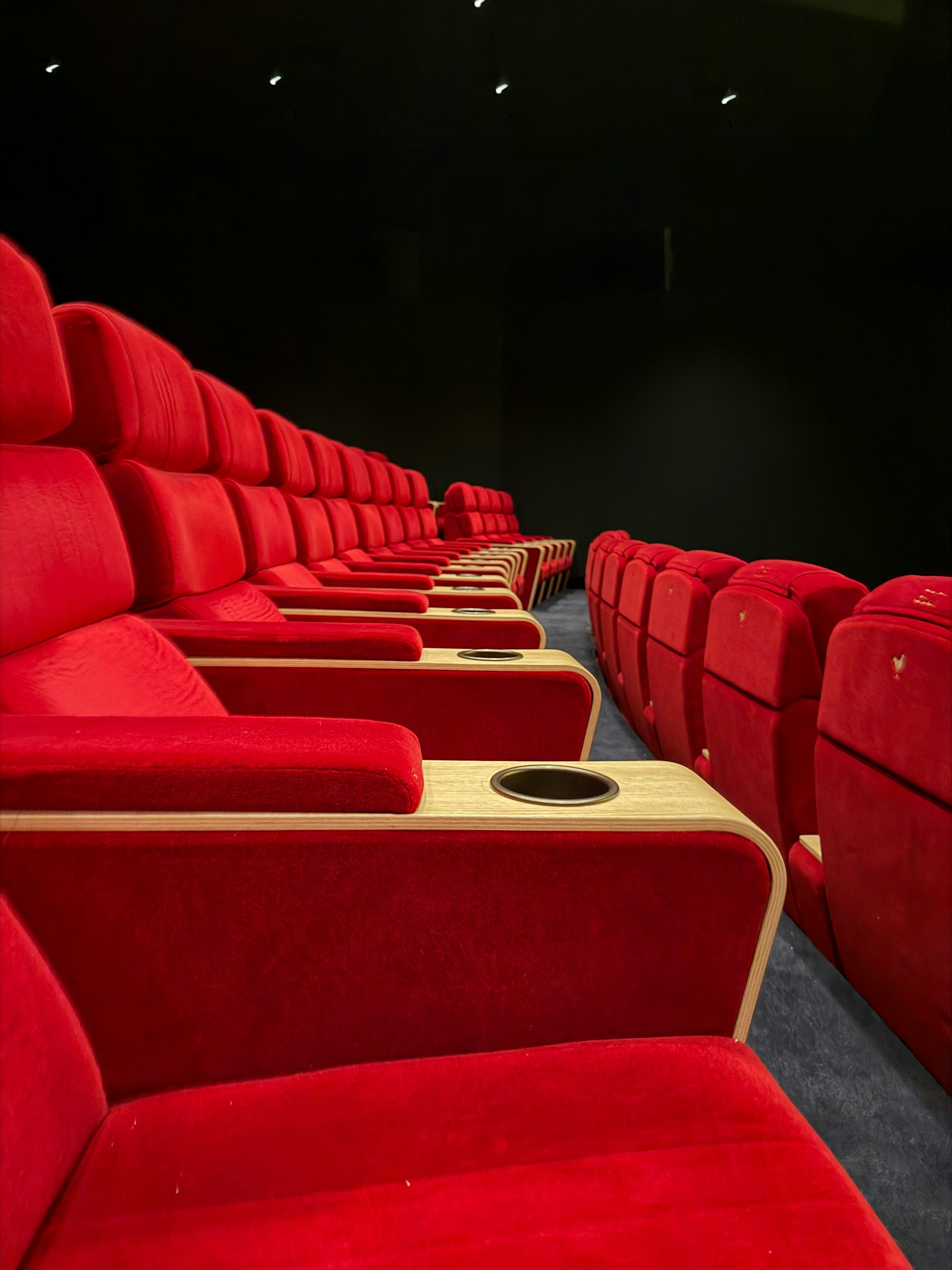 Woman Says PVR Denied Entry Over Diabetes Emergency Kit, Cinema Responds