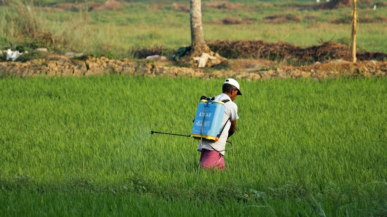 Insecticides Q1 Results: Net Profit Tanks 25%, Revenue Declines 12%