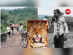 उदयपुर में तेंदुए के हमले में एक युवक की मौत, बूंदी में भी दहशत; कई घर खाली कराए