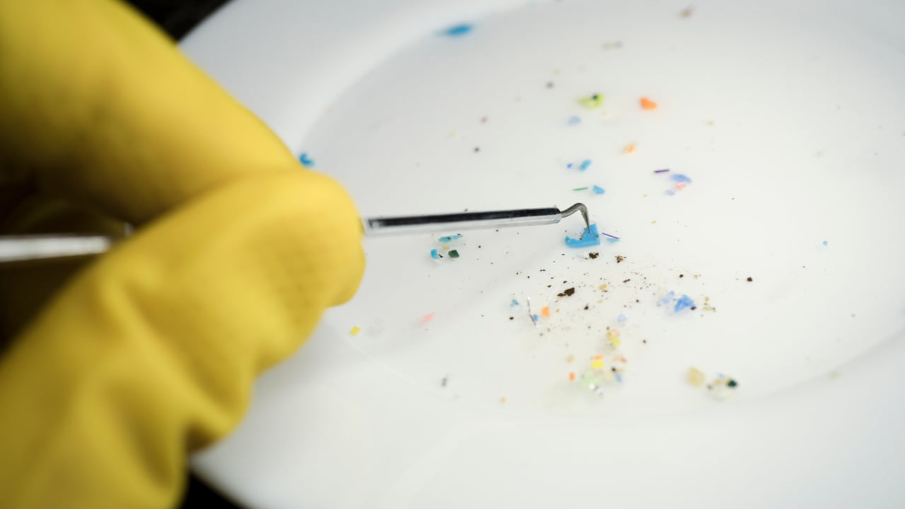 Almost every stage of the food chain can introduce microplastics.