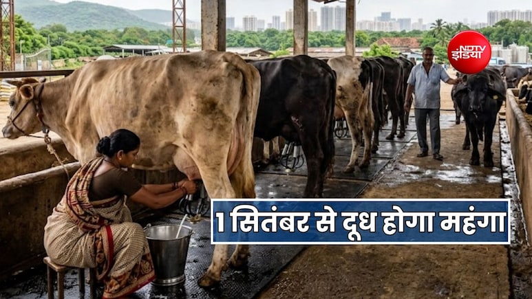 1 सितंबर से मुंबई में तबेले का दूध 8 रुपये होगा महंगा, आम आदमी को देना होगा 10 रुपये ज्यादा