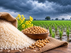 Monsoon Deficit Drags Kharif Acreage Down 1.5%; Rice And Oilseeds Bear The Brunt: ICICI Direct