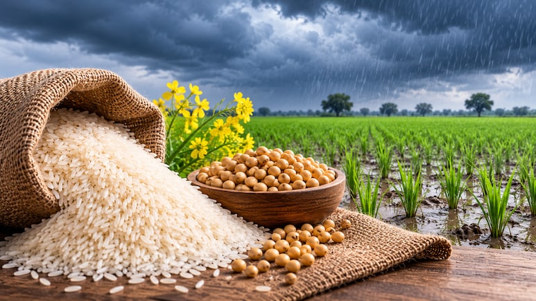 Monsoon Deficit Drags Kharif Acreage Down 1.5%; Rice And Oilseeds Bear The Brunt: ICICI Direct