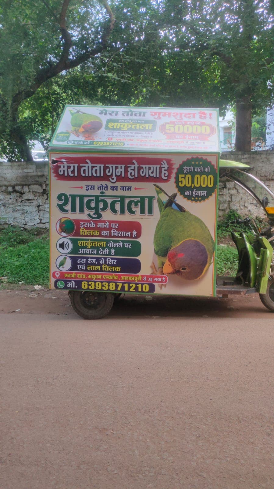 Missing Parrot Gwalior: शहर भर में हो रहा है अनाउंसमेंट