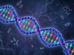 Researchers Say A Faulty Gene Copy Can Make The Heart's DNA Fold The Wrong Way