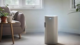 Are Air Purifiers Enough? Doctor Explains Ways To Tackle Indoor Pollution For Lung Safety