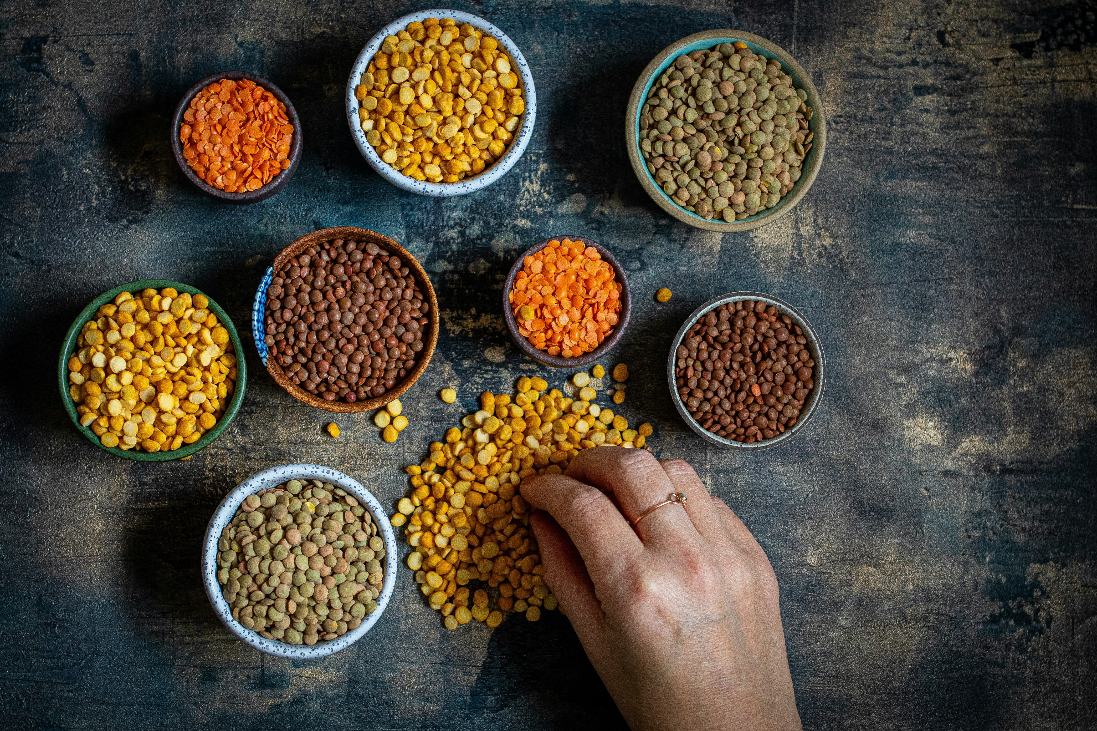 Which Dal Has The Highest Protein?