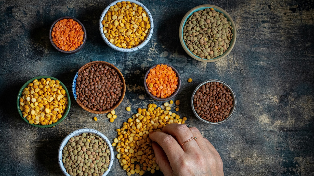 Which Dal Has The Highest Protein?