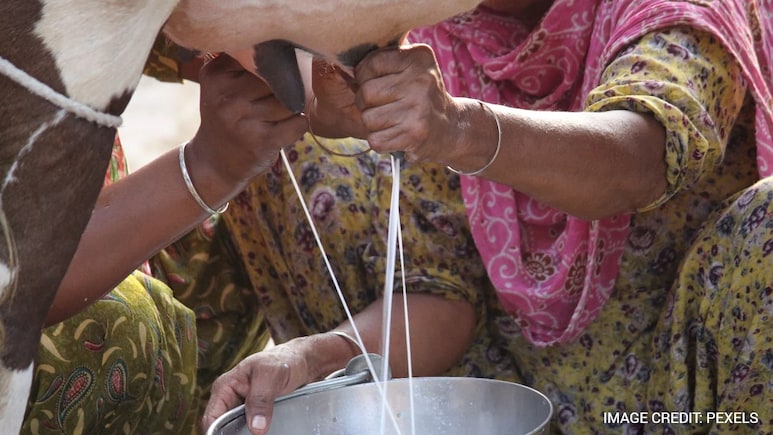 Milk Gets Costlier In Maharashtra From Today As Prices To Increase by Rs 2 Per Litre
