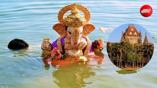 किस धर्मग्रंथ में लिखा है कि मूर्ति PoP की हो... गणेशोत्सव पर 6 फीट से ऊंची प्रतिमाओं के विसर्जन पर बॉम्बे HC