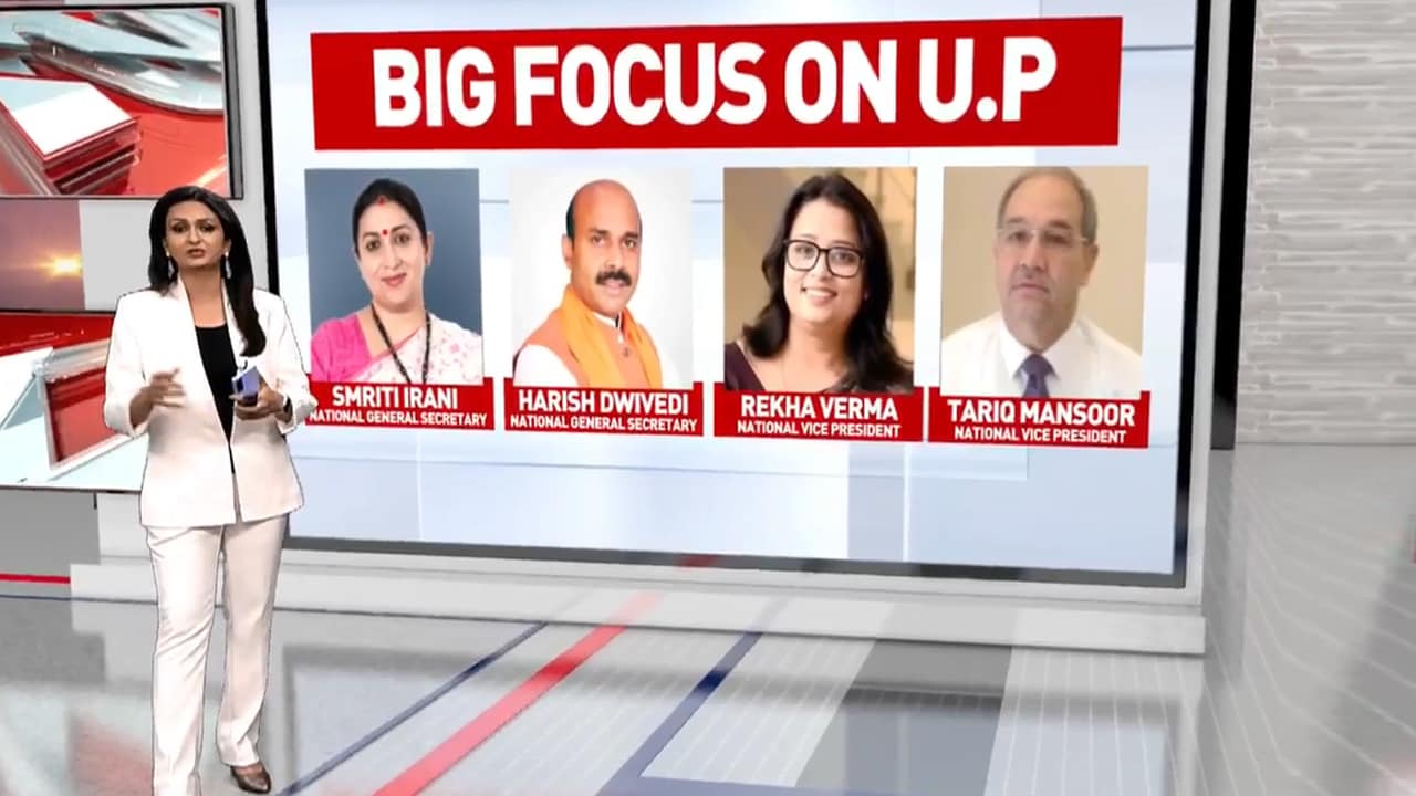 Nitin Nabin's New BJP Team Blends Experience, Youth And Regional Balance