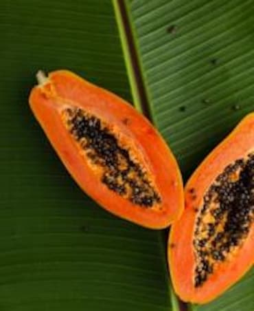 Health Benefits Of Papaya
