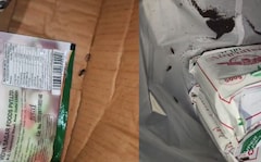 Cockroaches, Filth: Food Safety Crackdown At Posh Bengaluru Clubs