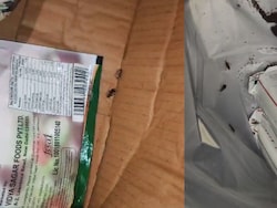 Cockroaches, Filth: Food Safety Crackdown At Posh Bengaluru Clubs