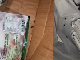 Cockroaches, Filth: Food Safety Crackdown At Posh Bengaluru Clubs