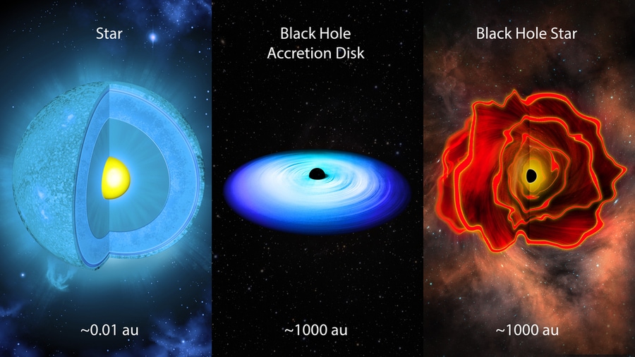 Rohan Naidu Black Hole Star Study: ब्लैक होल स्टार Rohan Naidu Black Hole Star Study: ब्लैक होल स्टार