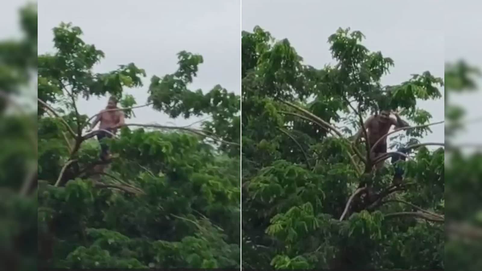 Heavy Rains in Maharashtra Cause Flooding, Fatalities, and Rescue Efforts