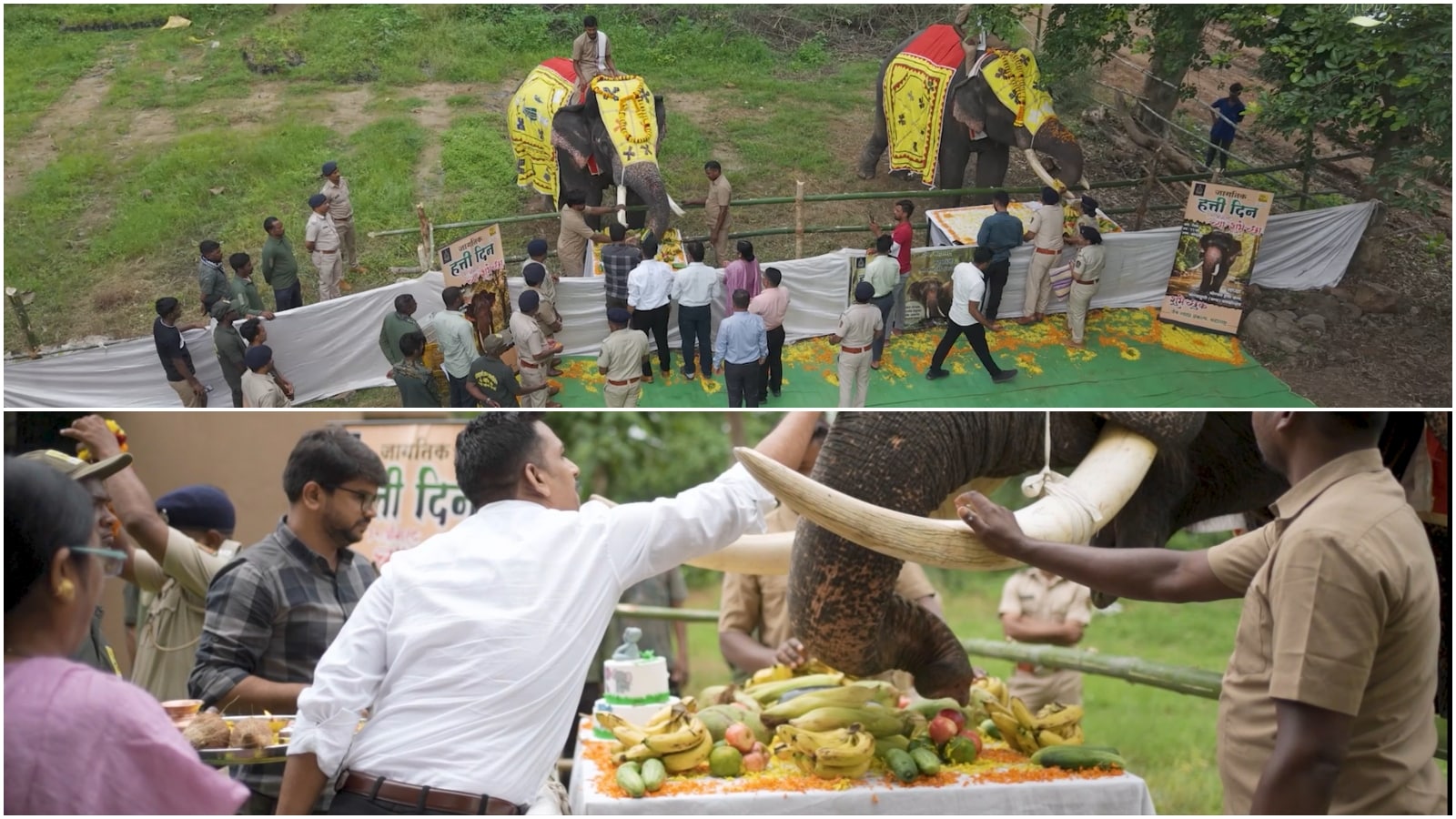 World Elephant Day 2026 Celebration At Maharashtras Pench Tiger Reserve