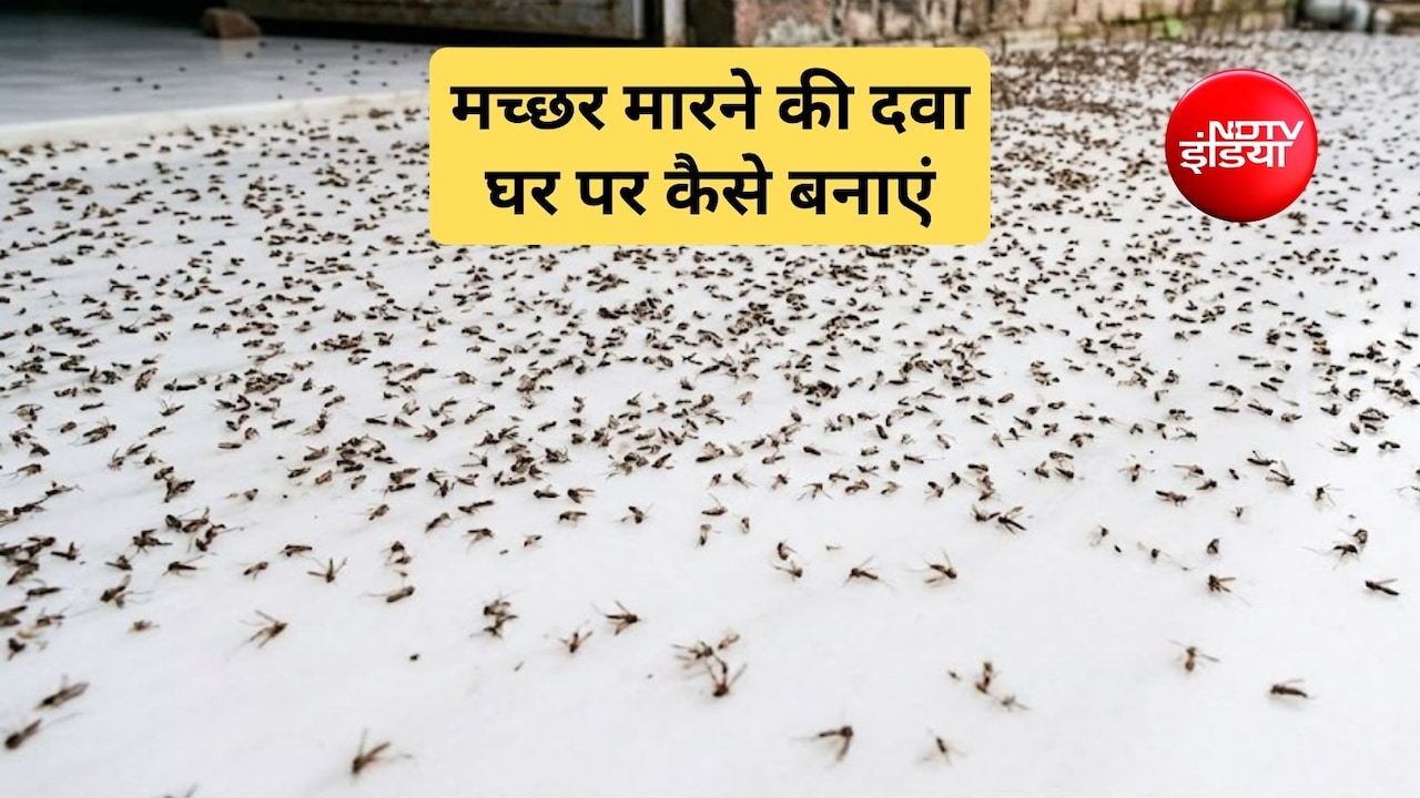 शरीर में क्या लगाने से मच्छर नहीं काटते हैं? कौन सी गंध मच्छरों को दूर रखती है