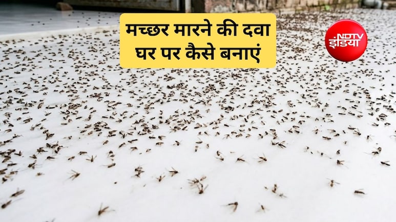 शरीर में क्या लगाने से मच्छर नहीं काटते हैं? कौन सी गंध मच्छरों को दूर रखती है