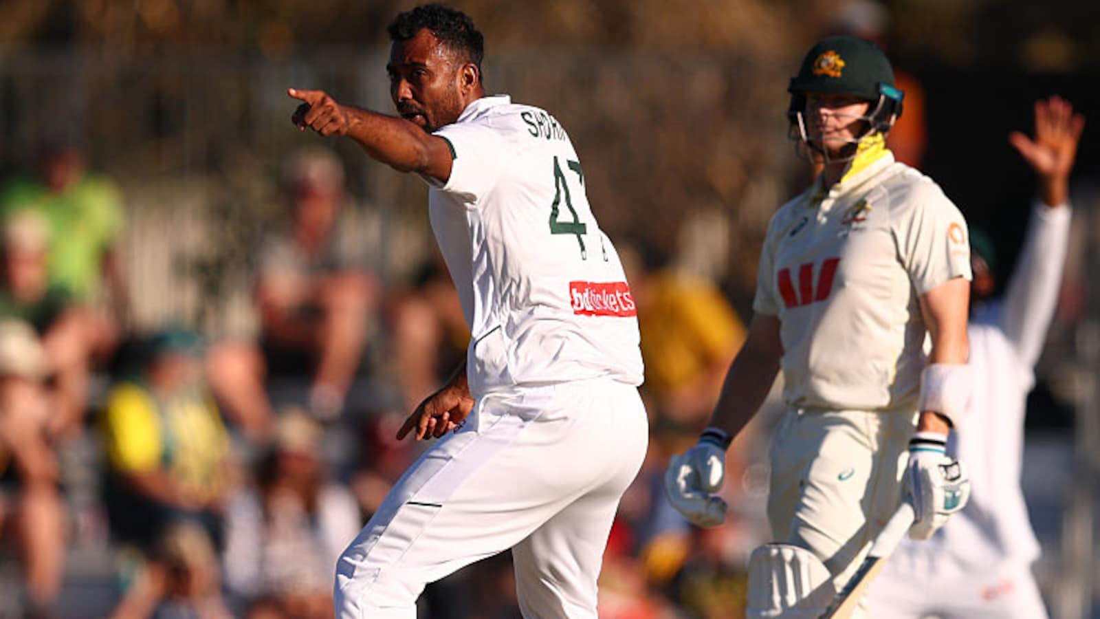 Steve Smith Dares Bangladesh Fielders To Take DRS Review. This Happens Next - Video