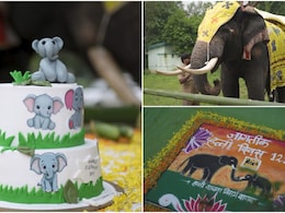 विश्व हाथी दिवस के मौके पर धूमधाम से मनाया गया भीमा-सुब्रह्मण्यम का जन्मदिन, वायरल हुईं केक की तस्वीरें
